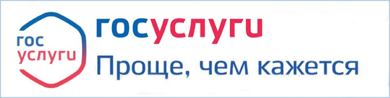 Госавтоинспекция Пензенской области информирует об оказании госуслуг в электронном виде