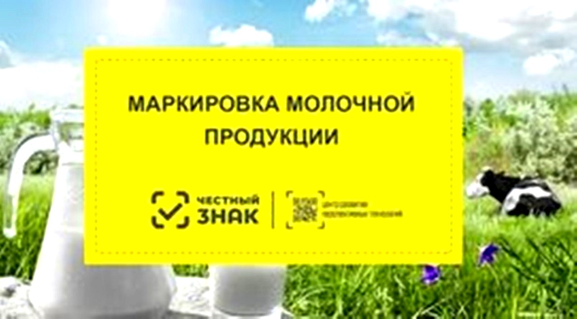 Ключевые изменения с 1 сентября 2022 года в торговле маркированной молочной продукцией