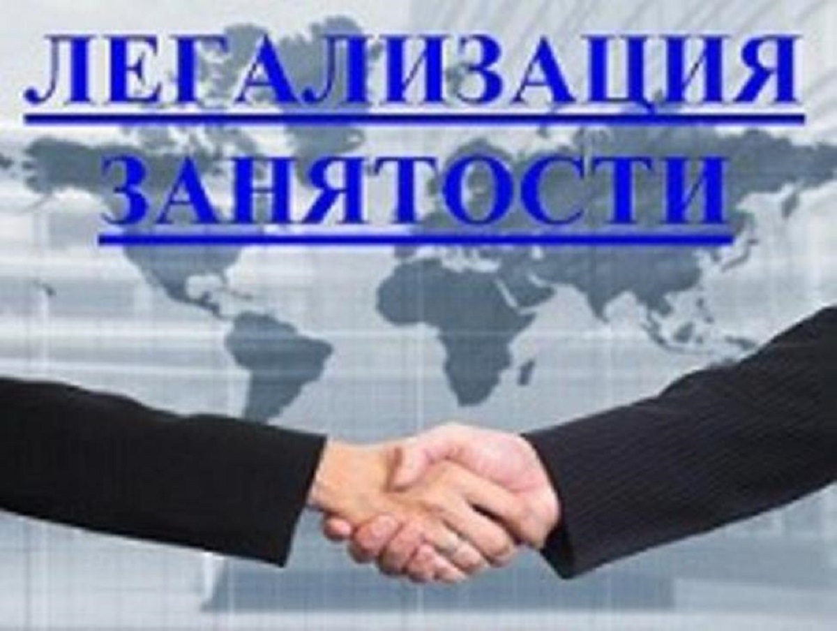Месячник по снижению неформальной занятости Месячник по снижению неформальной занятости