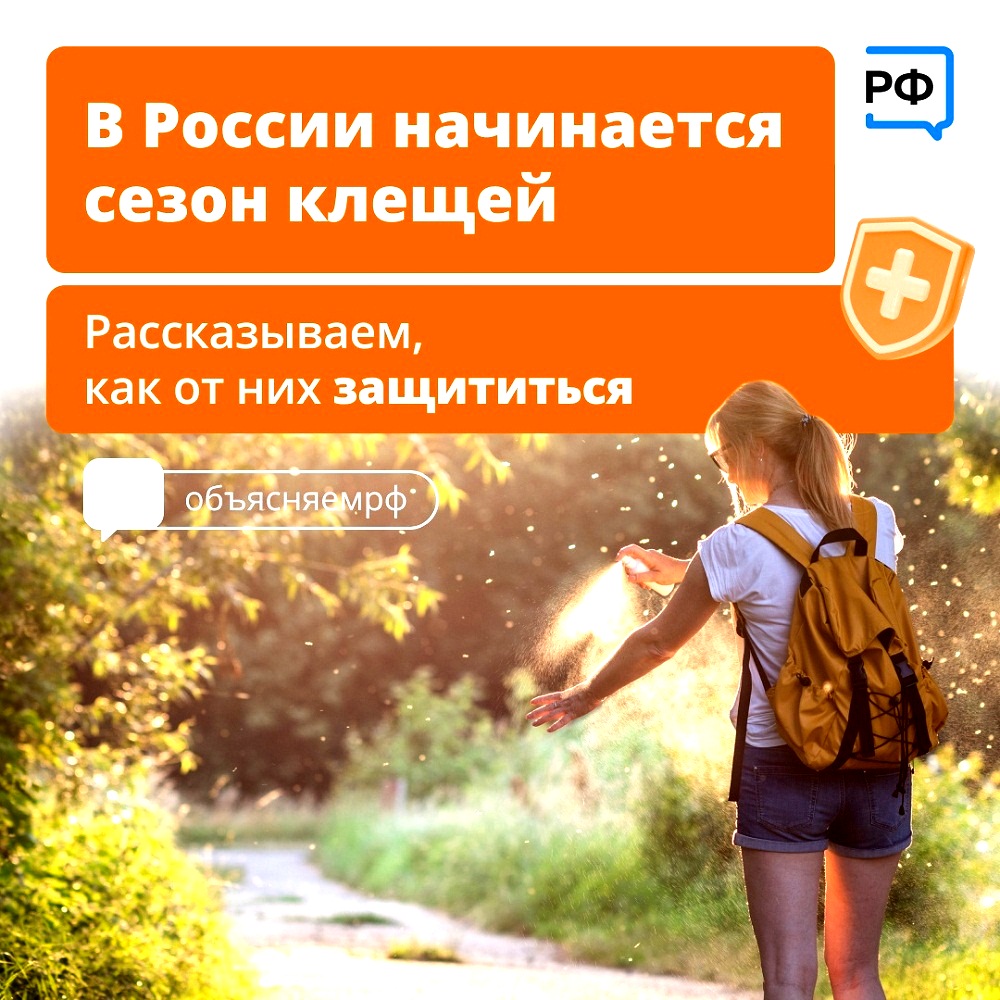 В России начинается сезон клещей В России начинается сезон клещей