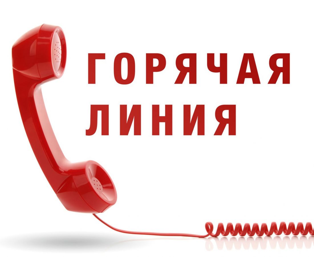 "Горячая линия" по вопросам легализации трудовых отношений