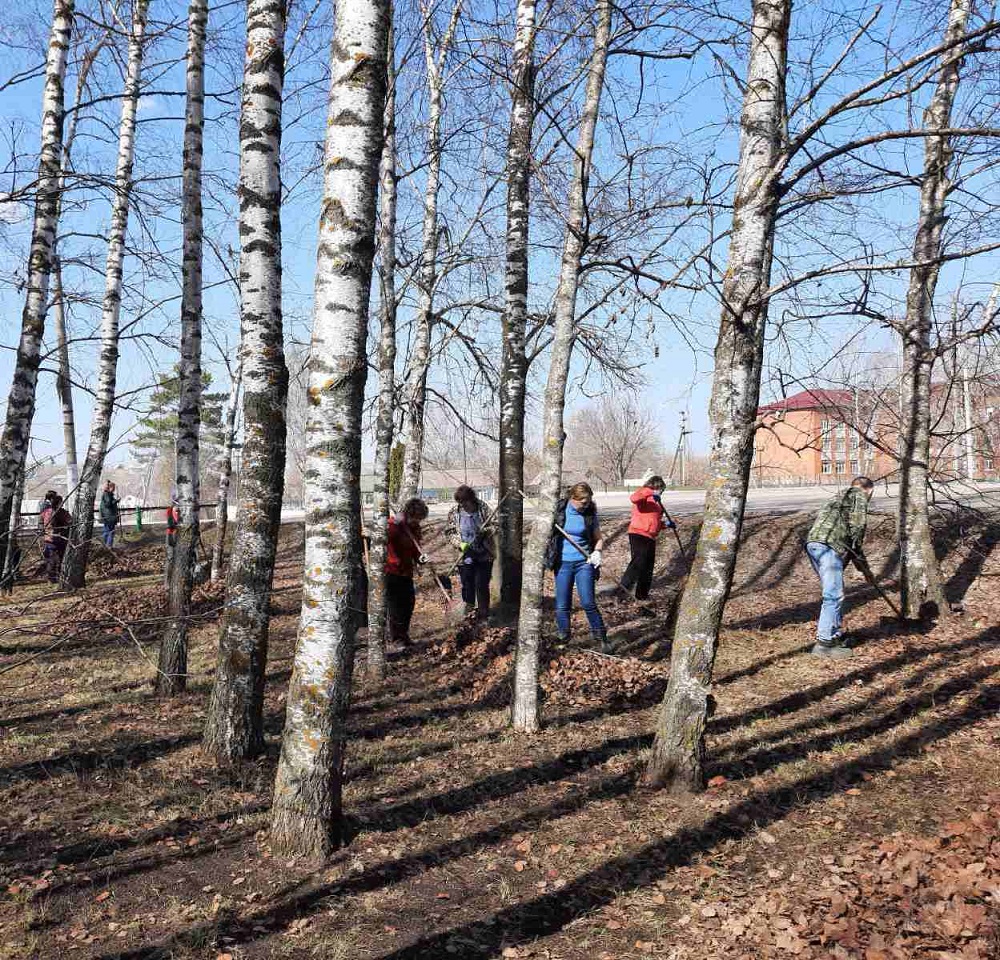 В Иссинском районе проходит благоустройство территорий В Иссинском районе проходит благоустройство территорий
