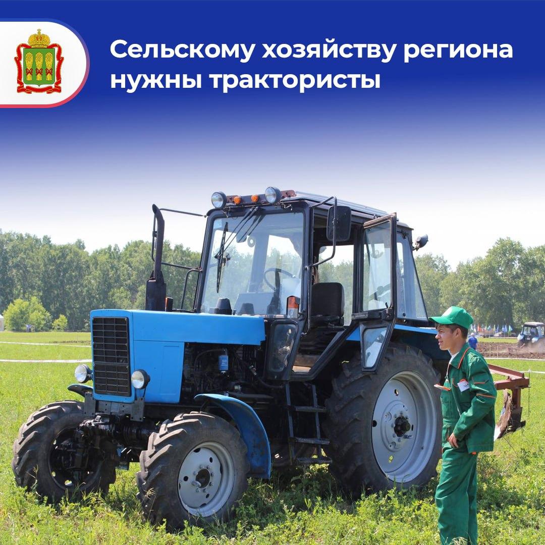 Убирать урожай, встречать рассветы в полях и много зарабатывать