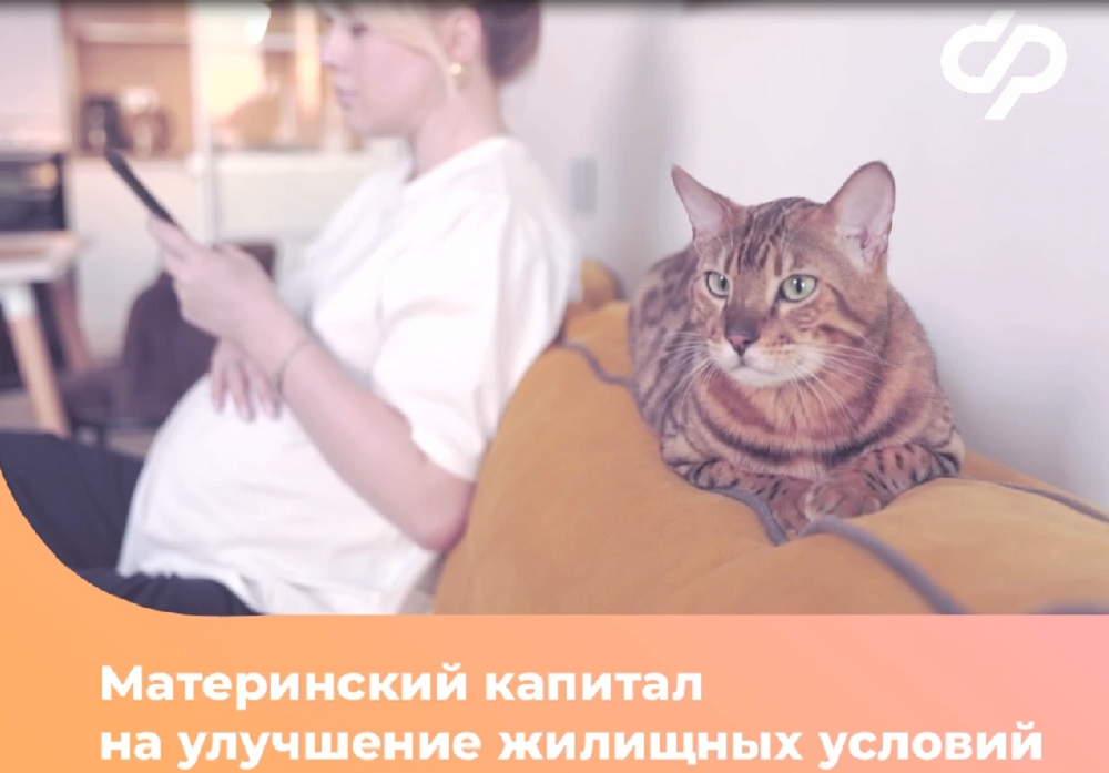 Программа материнского капитала продолжается до 2030 года в рамках нацпроекта «Семья»