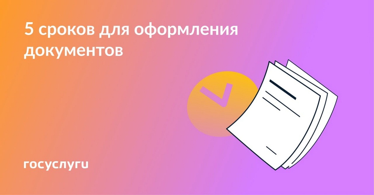 Какие сроки нужно учитывать при оформлении разных документов Какие сроки нужно учитывать при оформлении разных документов