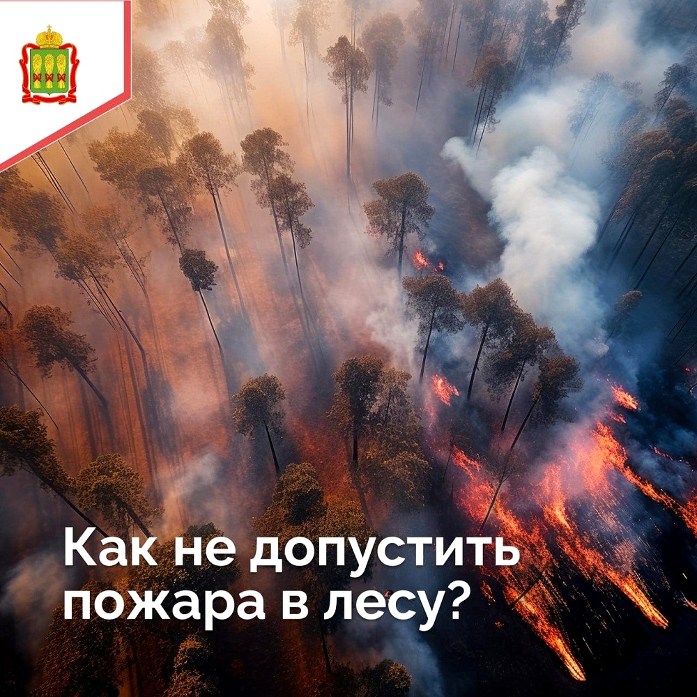 16 беспилотников будут помогать обследовать пензенские леса 16 беспилотников будут помогать обследовать пензенские леса