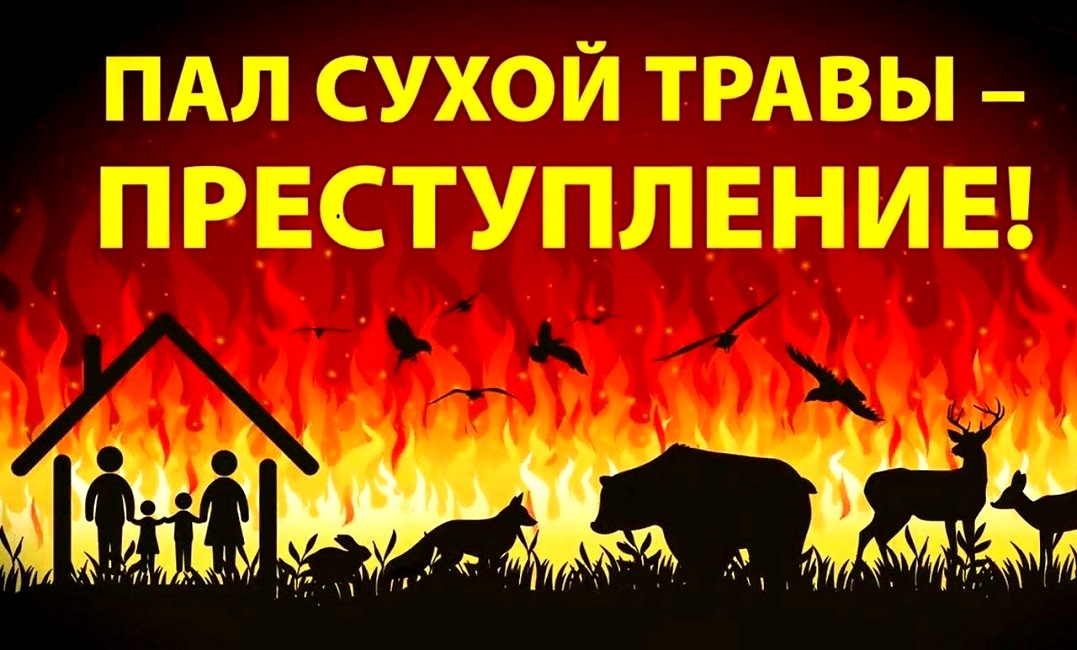 Пал сухой травы - преступление!