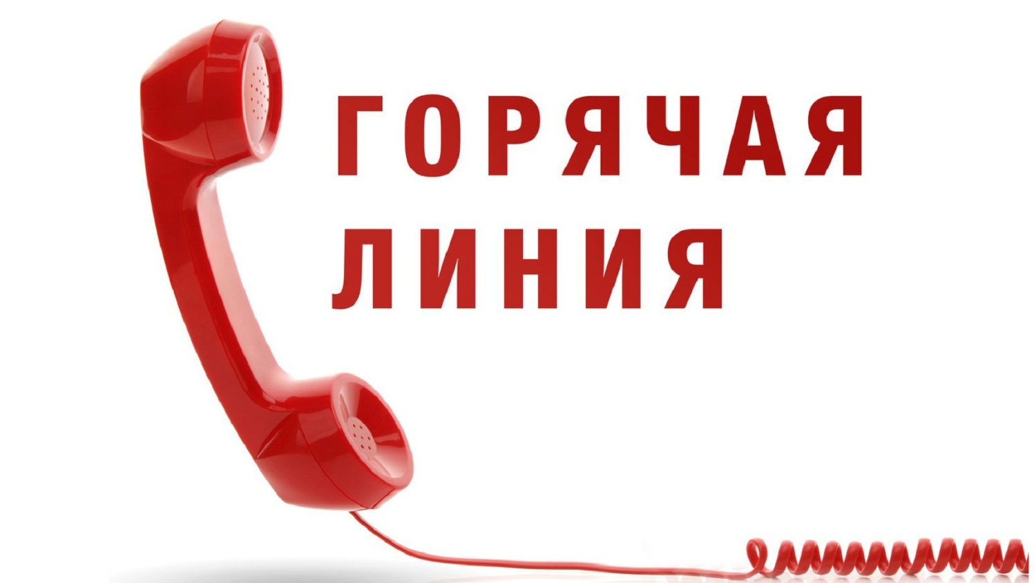 Работает «горячая линия» в сфере нарушения трудового законодательства Работает «горячая линия» в сфере нарушения трудового законодательства