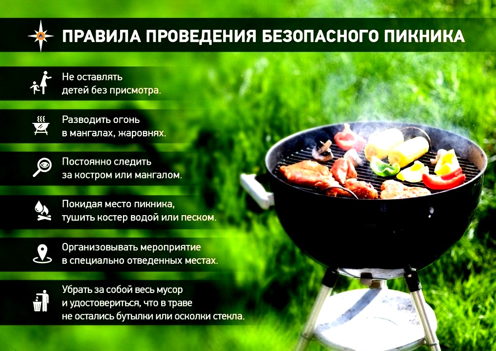 Правила поведения безопасного пикника Правила поведения безопасного пикника
