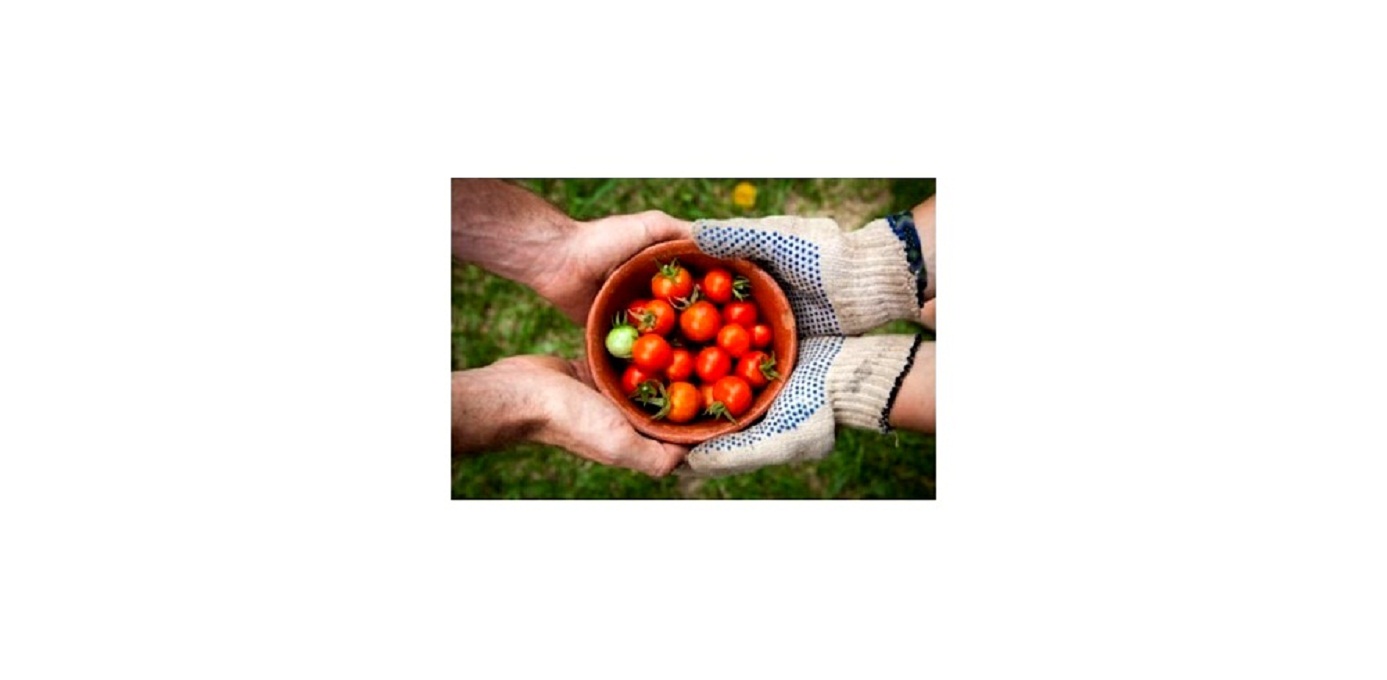Предприниматели смогут продавать свежие продукты на Озон