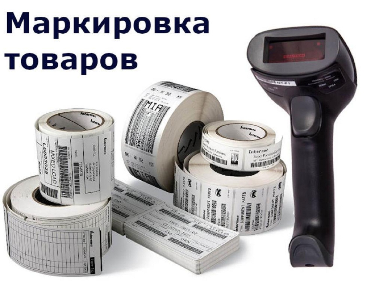 План обучающих мероприятий по маркировке товара на ноябрь 2021