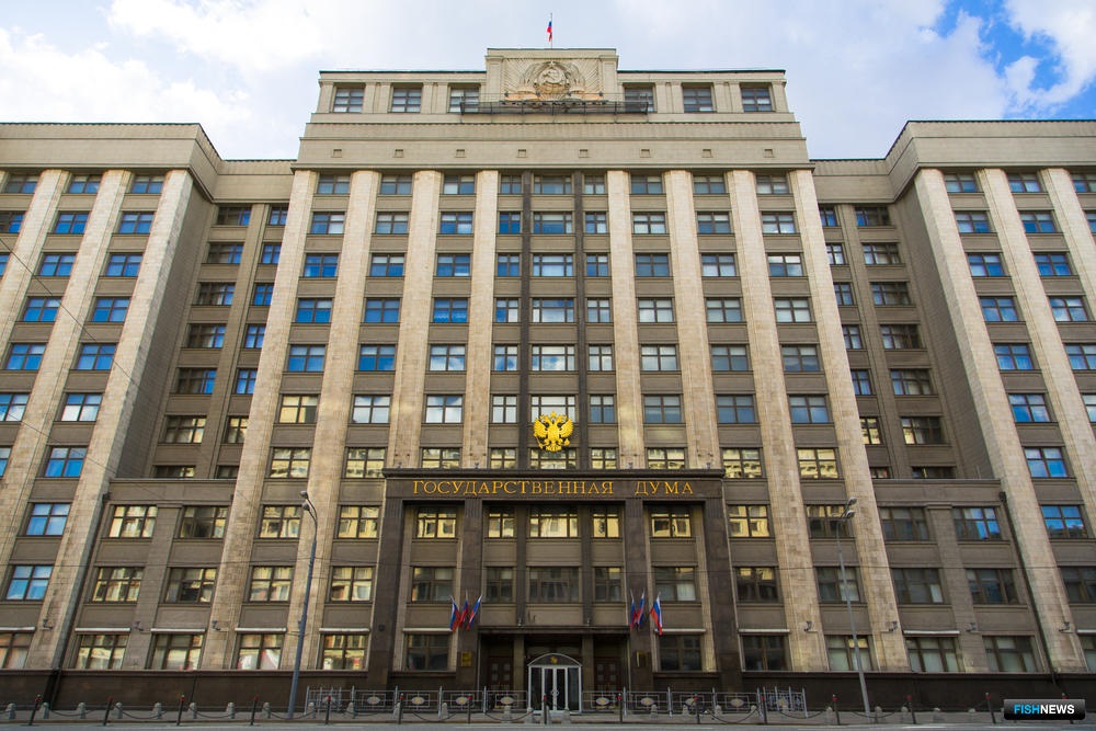 В Госдуме предложили ужесточить наказания за мелкое взяточничество