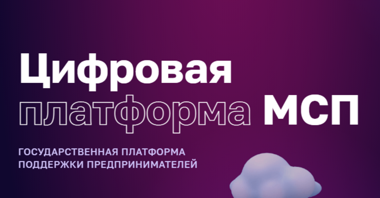 На Цифровой платформе МСП для пензенских предпринимателей доступны региональные меры поддержки в электронном виде