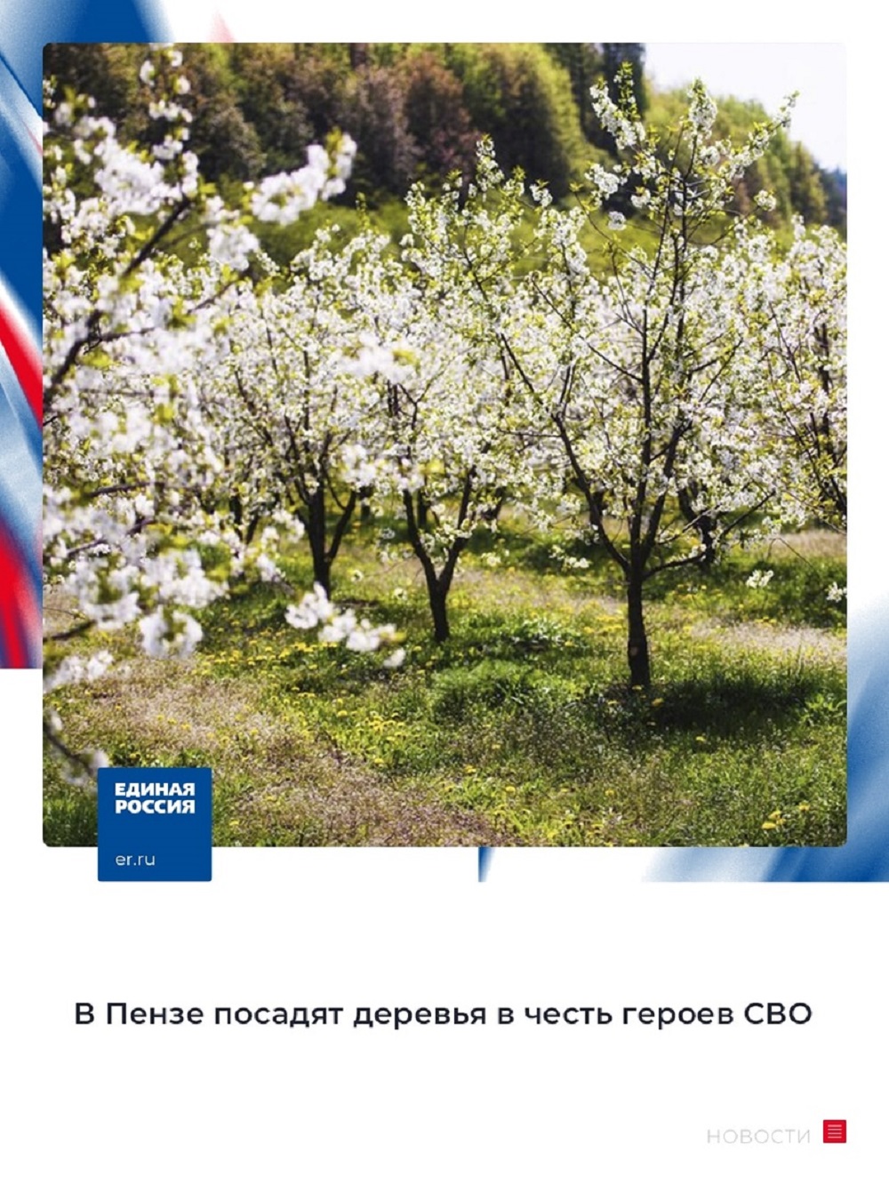 Стартует четвёртый сезон Международной акции «Сад памяти» Стартует четвёртый сезон Международной акции «Сад памяти»