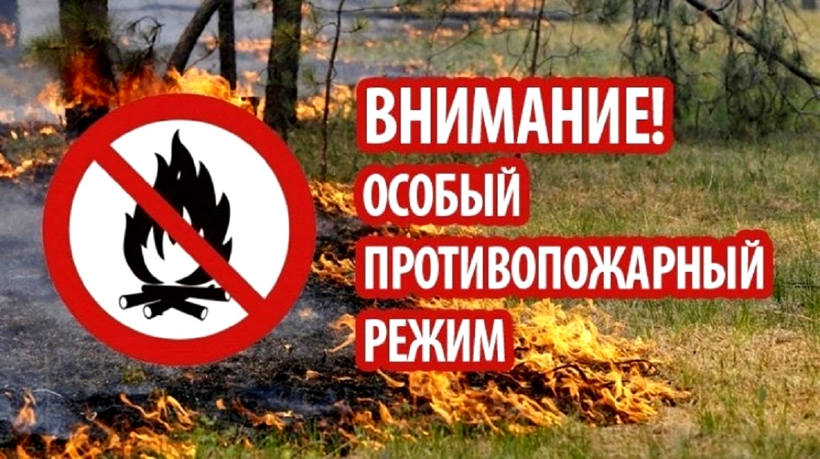 На территории Пензенской области с 1 июня 2024 года и до особого распоряжения введен особый противопожарный режим На территории Пензенской области с 1 июня 2024 года и до особого распоряжения введен особый противопожарный режим