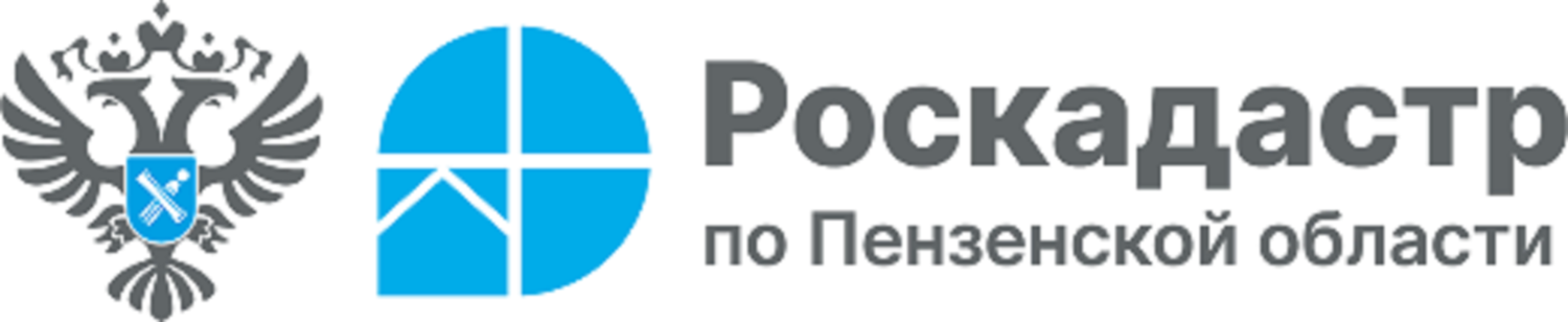 Региональный Роскадастр рассказал, где забрать забытые документы на недвижимость 