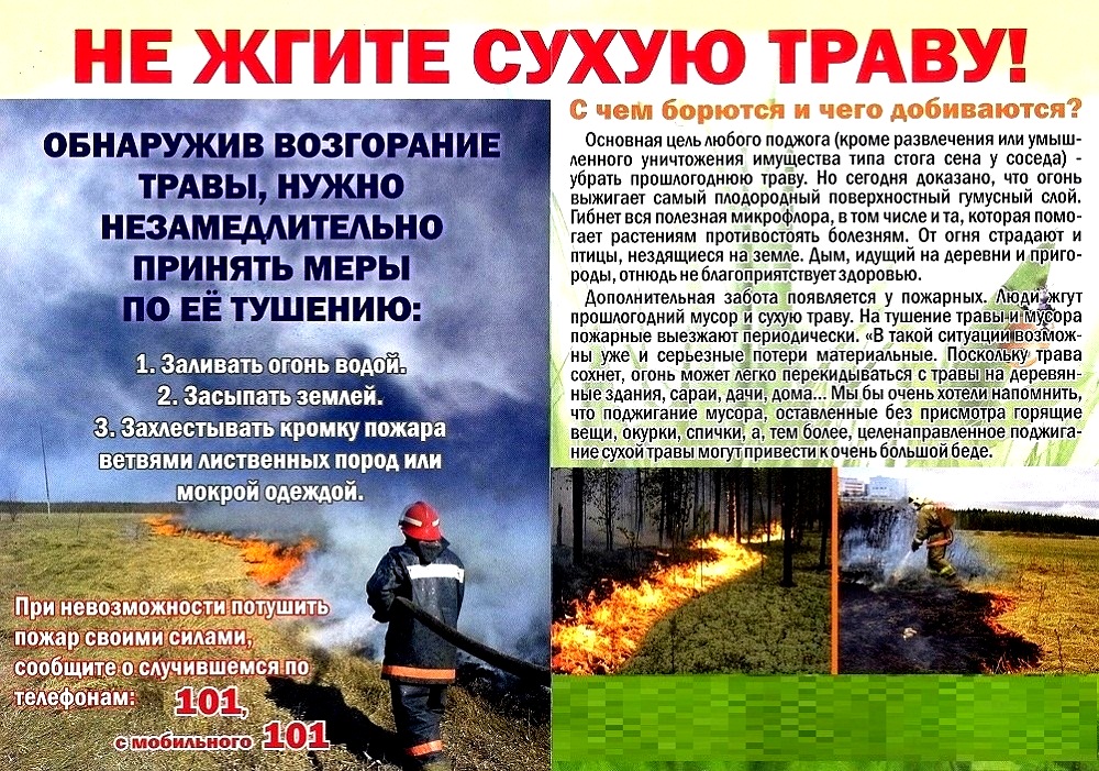 Не жгите сухую траву!
