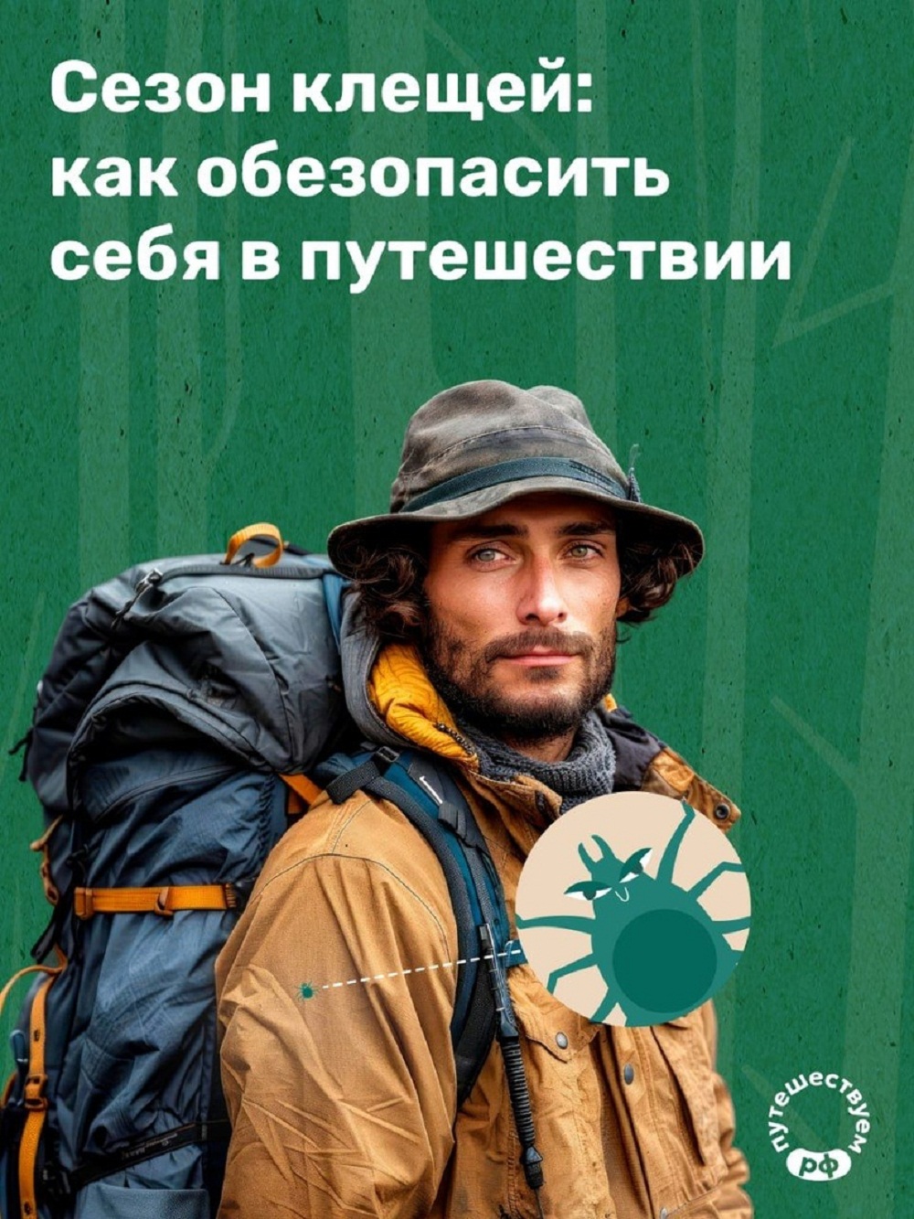 Сезон клещей: как обезопасить себя в путешествии Сезон клещей: как обезопасить себя в путешествии