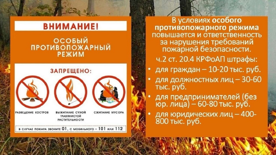 С 1 июня 2024 г. на территории Пензенской области действует особый противопожарный режим