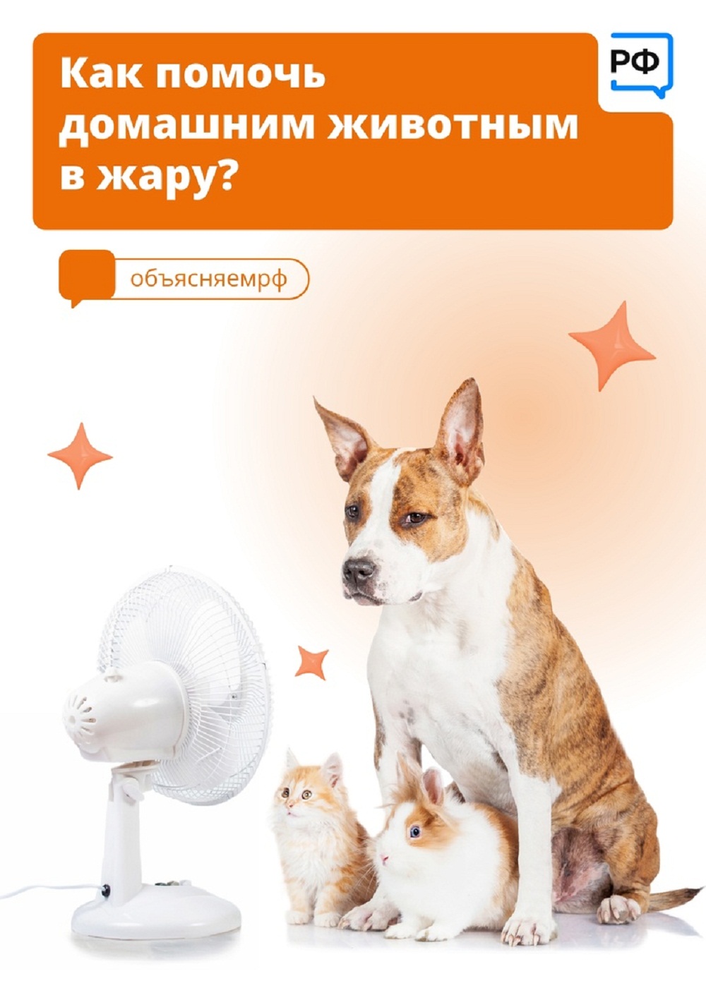 Как помочь домашним животным в жару?