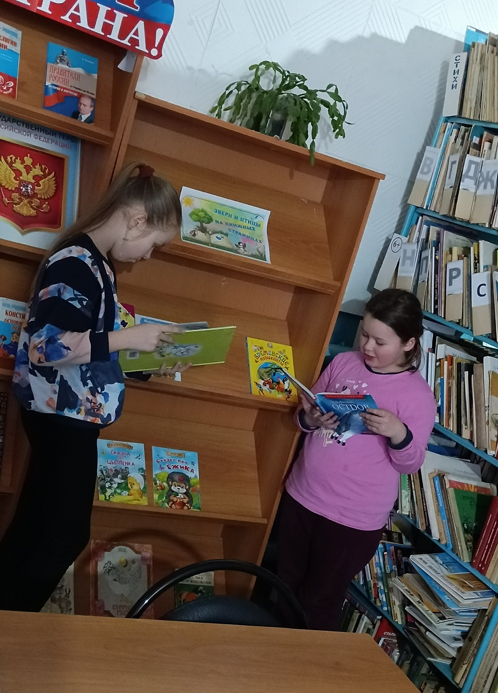В библиотеке села Знаменская Пестровка состоялся разговор у книжной выставки «На каникулы с книгой»
