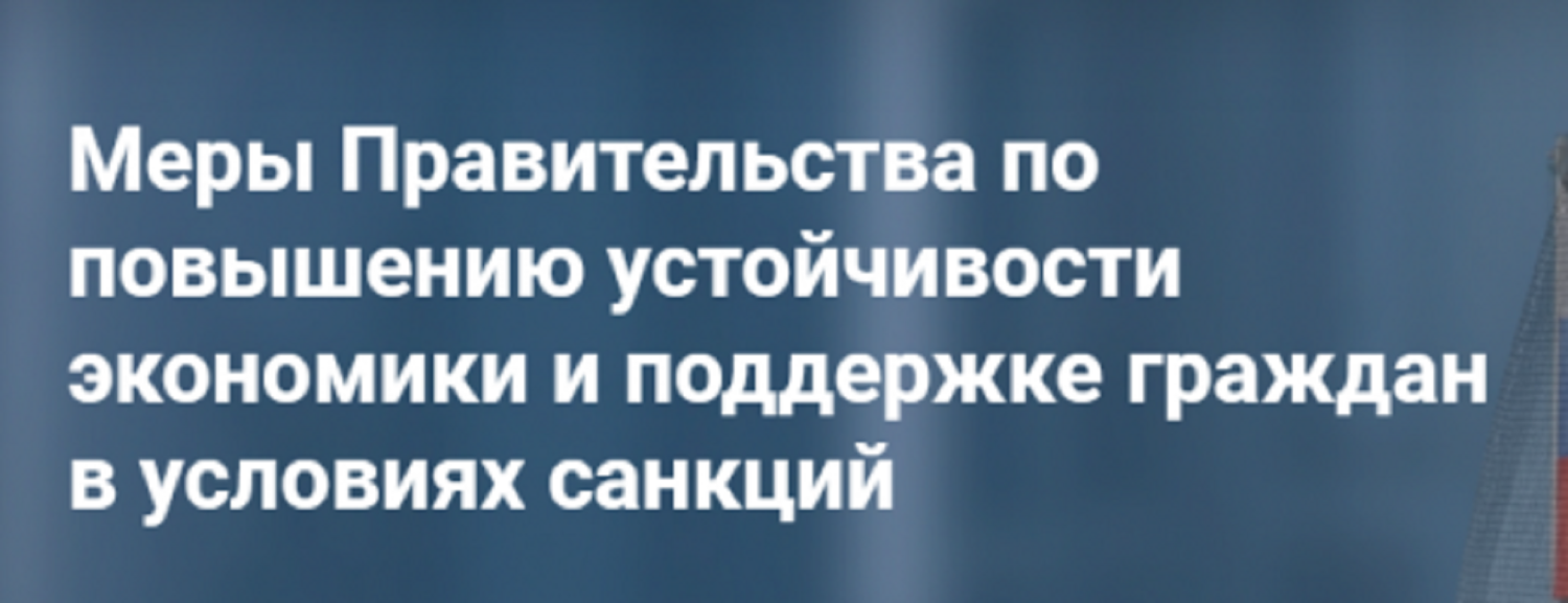 На сайте Правительства России заработал раздел по мерам поддержки граждан и бизнеса в условиях санкций