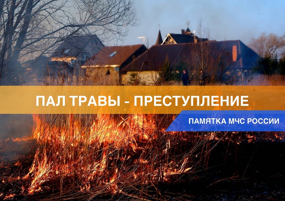 Пал травы - преступление Пал травы - преступление