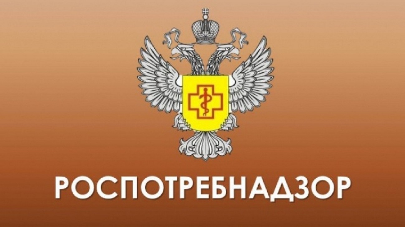 Что делать, если вы заболели