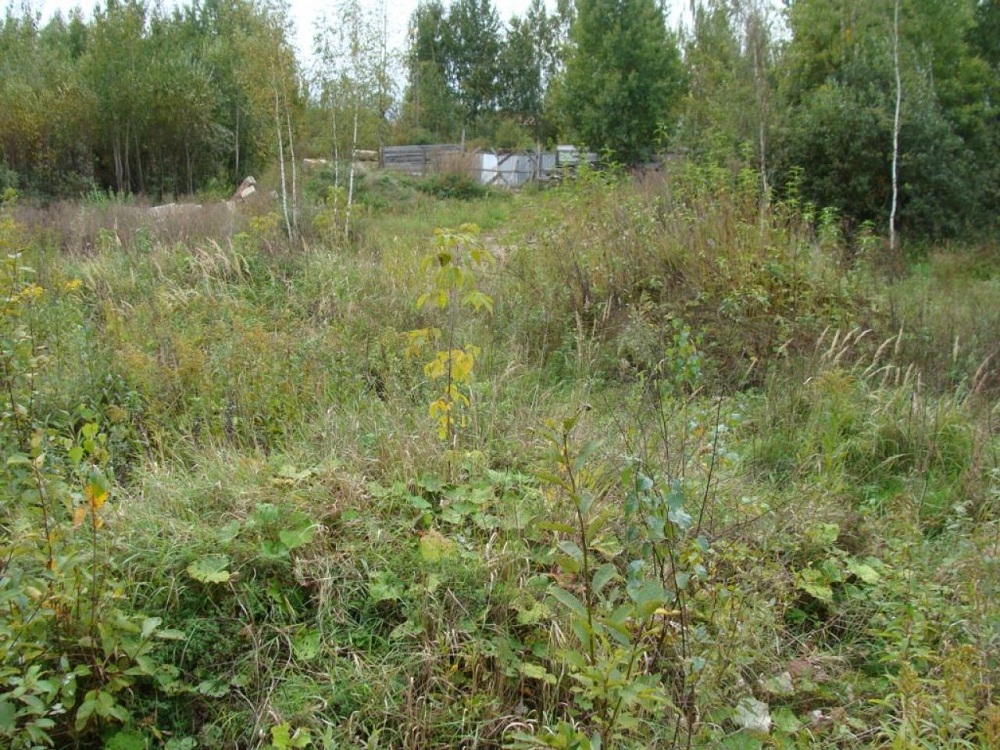 Заброшенных земельных участков должно стать меньше