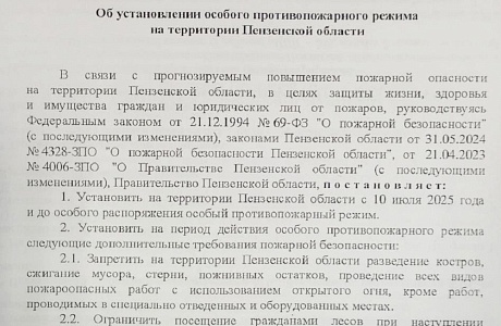 На территории Пензенской области с 10 июля 2025 года и до особого распоряжения введен особый противопожарный режим