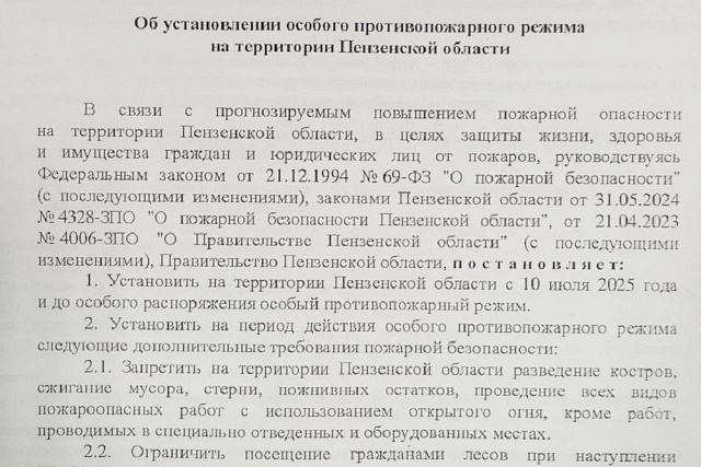На территории Пензенской области с 10 июля 2025 года и до особого распоряжения введен особый противопожарный режим