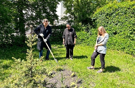 Работники ТФОМС Пензенской области высадили голубую ель в честь праздника