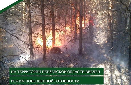 На территории Пензенской области введен режим повышенной готовности