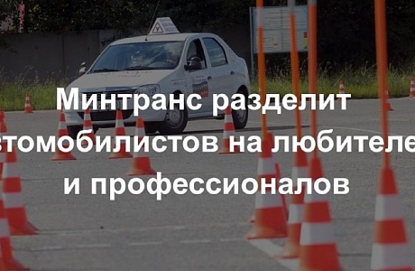 Водителей могут разделить на две группы — любителей и профессионалов