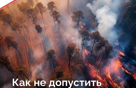 16 беспилотников будут помогать обследовать пензенские леса