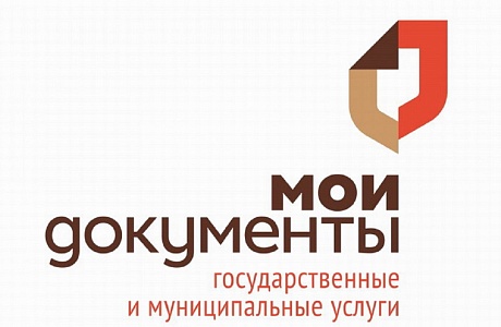 Физические лица могут представить налоговую декларацию по налогу на доходы физических лиц по форме 3-НДФЛ через МФЦ Физические лица могут представить налоговую декларацию по налогу на доходы физических лиц по форме 3-НДФЛ через МФЦ