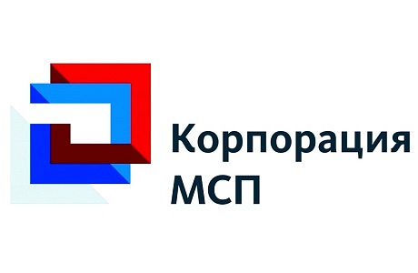 О «зонтичном» механизме поручительств Корпорации «МСП»