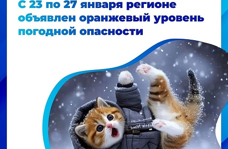 В Пензенской области в период с 23 по 27 января ожидается аномально холодная погода