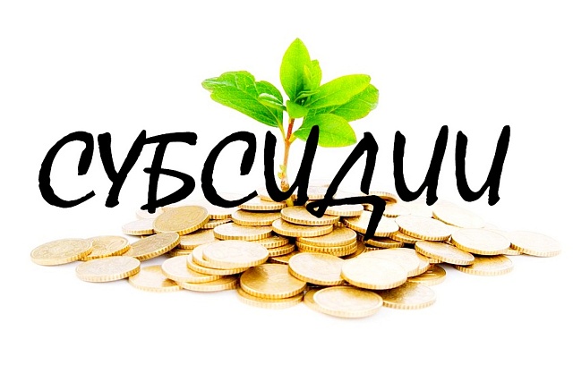 Бизнес и СОНКО смогут воспользоваться субсидиями на средства дезинфекции Бизнес и СОНКО смогут воспользоваться субсидиями на средства дезинфекции