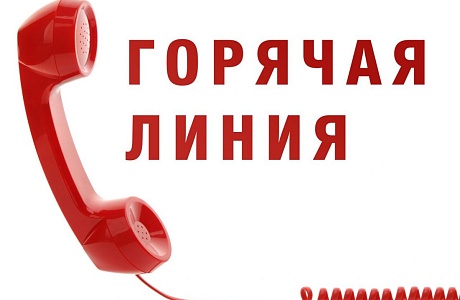 "Горячая линия" по вопросам легализации трудовых отношений "Горячая линия" по вопросам легализации трудовых отношений