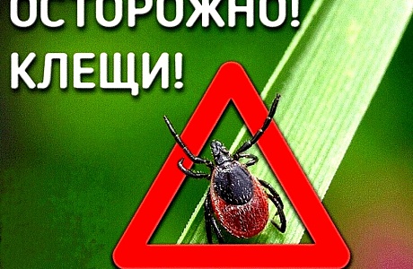 Осторожно! Клещи