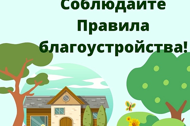 Соблюдайте правила благоустройства! Соблюдайте правила благоустройства!