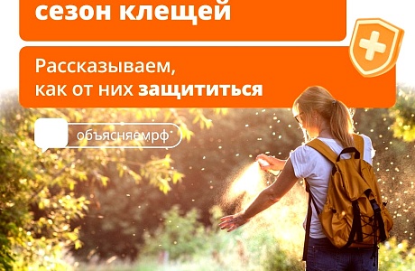 В России начинается сезон клещей В России начинается сезон клещей
