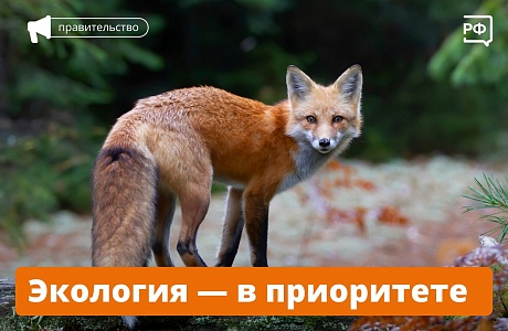Экология - в приоритете Экология - в приоритете