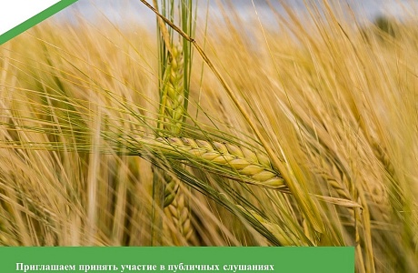Приглашаем принять участие в публичных слушаниях