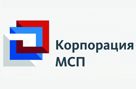 Около 5,3 трлн рублей получит малый и средний бизнес в рамках финансовых программ Корпорации МСП до 2030 года