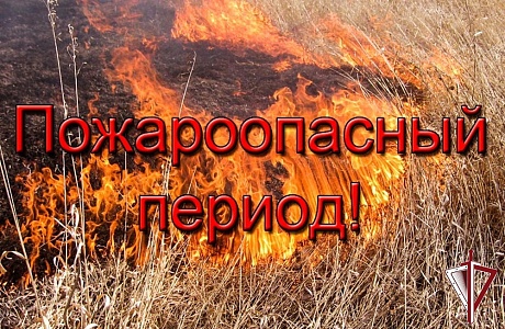 О подготовке к прохождению весенне-летнего пожароопасного периода 2025 года