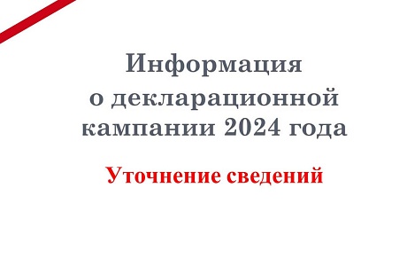 Информация по уточнению сведений в ходе декларационной кампании 2024 года