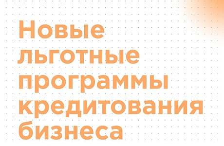 Предприниматели Иссинского района могут ознакомиться с набором мер поддержки российской экономики, одобренных Президентом России