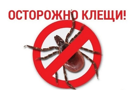 ПАМЯТКА ДЛЯ НАСЕЛЕНИЯ. Осторожно - клещи. ПАМЯТКА ДЛЯ НАСЕЛЕНИЯ. Осторожно - клещи.